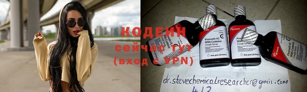 прущие грибы Рославль