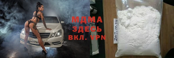прущие грибы Рославль