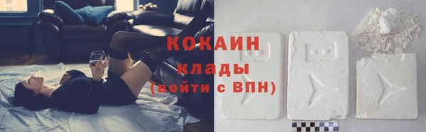 прущие грибы Рославль