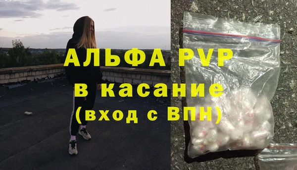прущие грибы Рославль