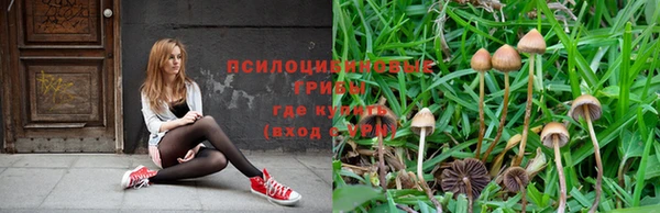 MDMA Россошь