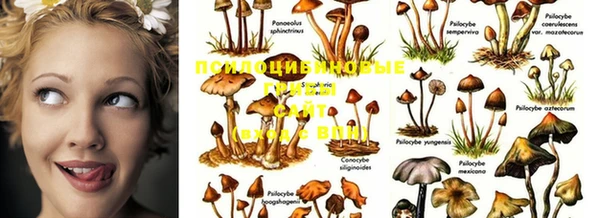 MDMA Россошь