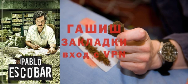 прущие грибы Рославль