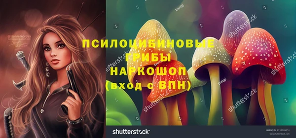 Альфа ПВП Приозерск