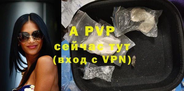 прущие грибы Рославль