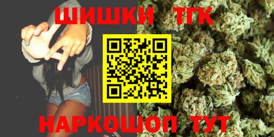 индика Дубна