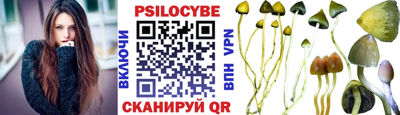 Галлюциногенные грибы Psilocybine cubensis  Балахна 