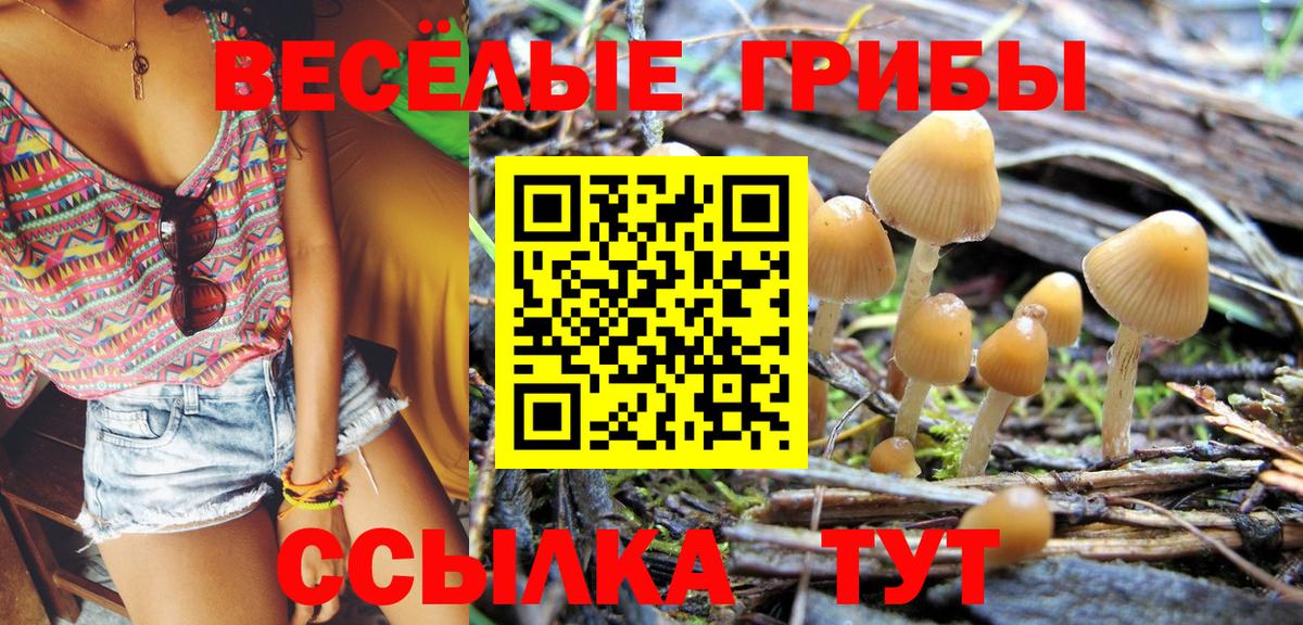 Псилоцибиновые грибы мицелий Балахна