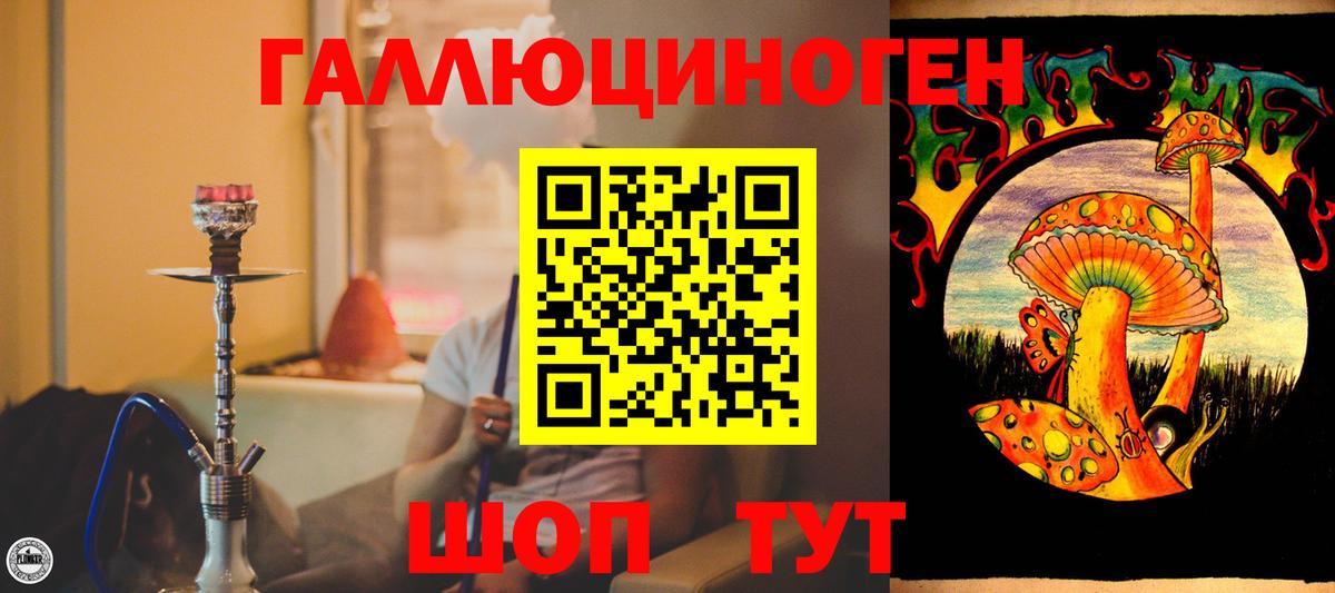 Галлюциногенные грибы Magic Shrooms  Балахна  Псилоцибиновые грибы ЛСД 