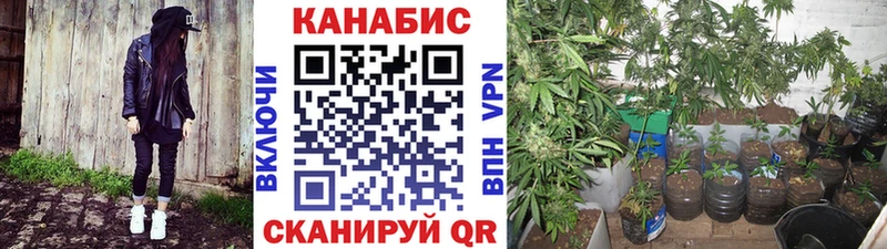 купить   Балахна  Марихуана Ganja 