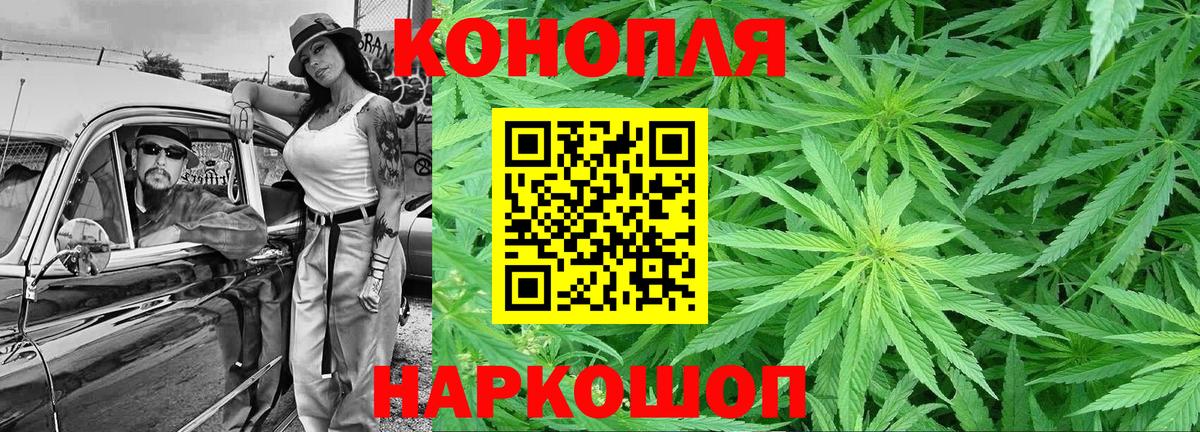Конопля MAZAR Балахна